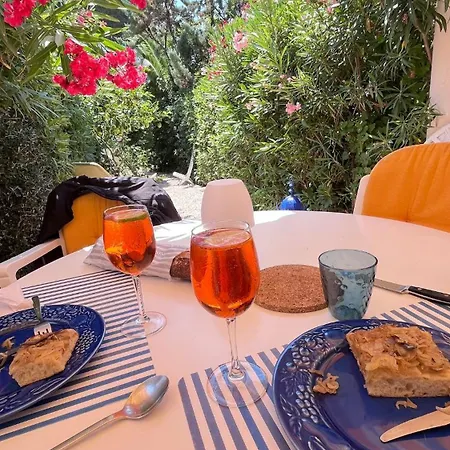 Un Coin De Paradis Au Pied De La Grande Bleue Appartement