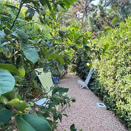 Un Coin De Paradis Au Pied De La Grande Bleue Appartement