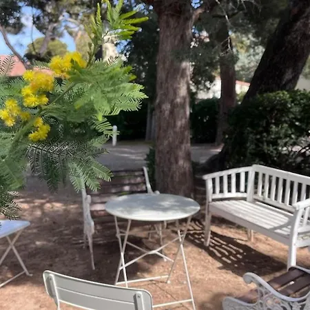 Un Coin De Paradis Au Pied De La Grande Bleue Appartement