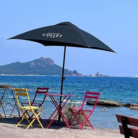 Un Coin De Paradis Au Pied De La Grande Bleue