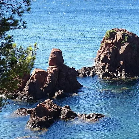 Un Coin De Paradis Au Pied De La Grande Bleue Appartement *