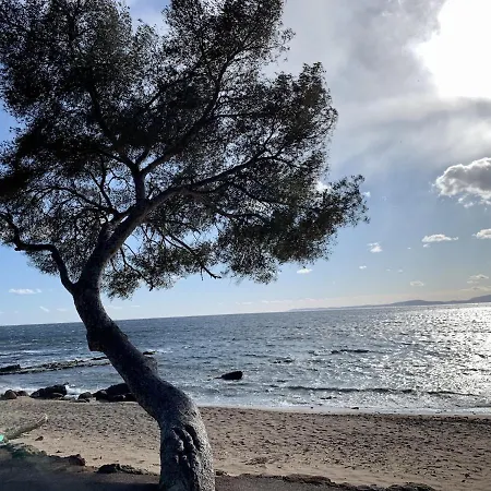 Un Coin De Paradis Au Pied De La Grande Bleue Appartement